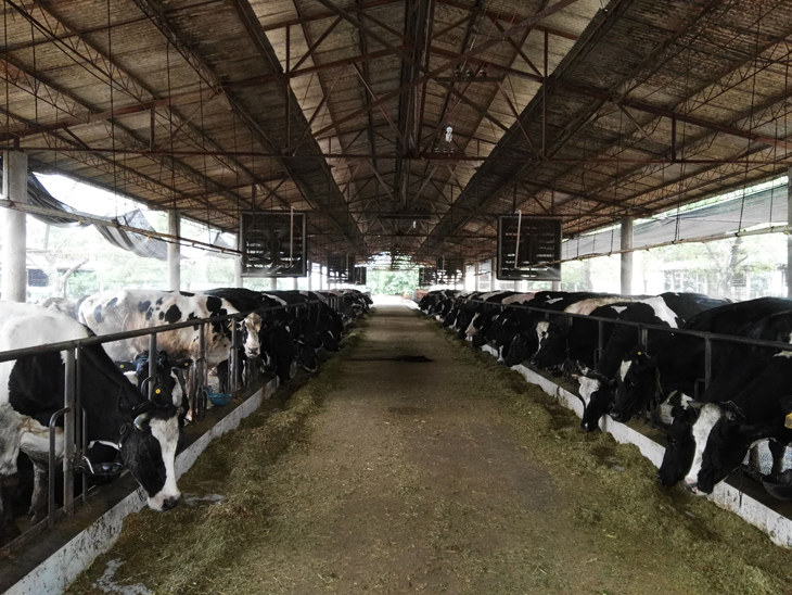 �й���88858cc����(�ɷ�)�ٷ���վ