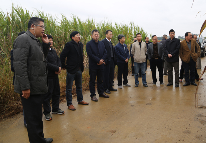 �й���88858cc����(�ɷ�)�ٷ���վ