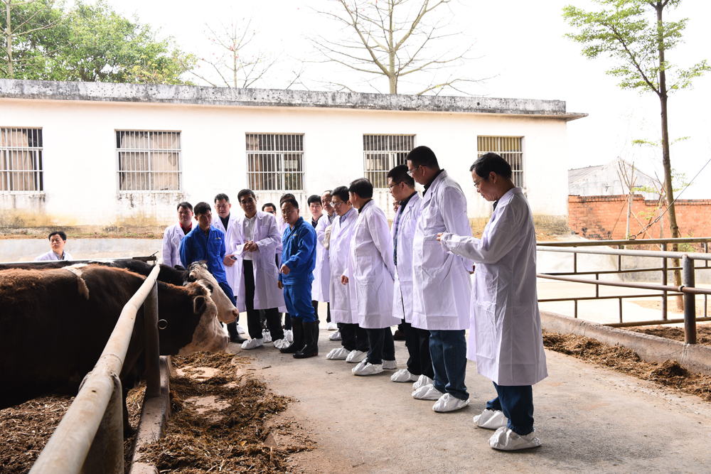 1522635094337369.jpg Öйú¡¤88858ccÓÀÀû(¹É·Ý)¹Ù·½ÍøÕ¾