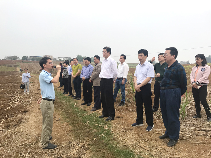 1556013572861324.jpg Öйú¡¤88858ccÓÀÀû(¹É·Ý)¹Ù·½ÍøÕ¾