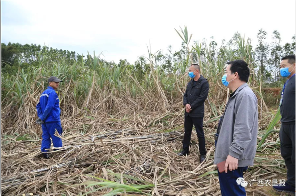 1582510145131754.jpg 1582509010(1).jpg