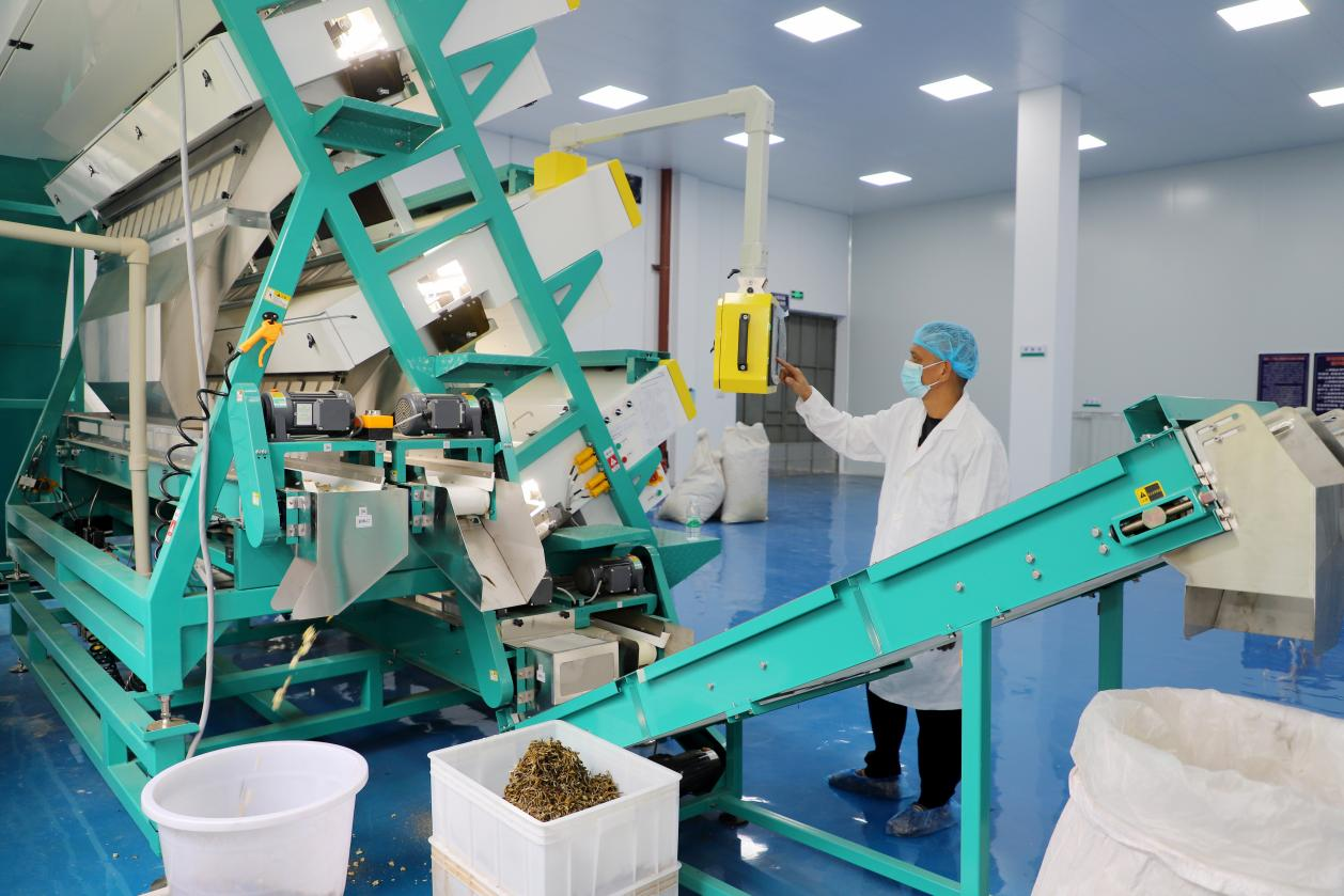 中国·88858cc永利(股份)官方网站